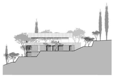 House in an Olive Grove